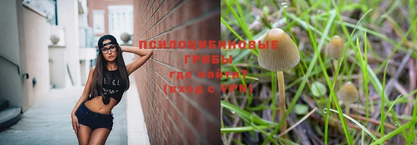 индика Белокуриха
