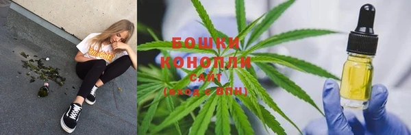индика Белокуриха