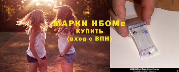 индика Белокуриха