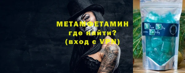 индика Белокуриха
