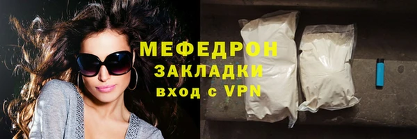 индика Белокуриха