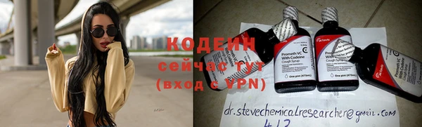 индика Белокуриха