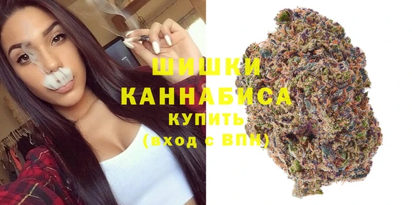 индика Белокуриха