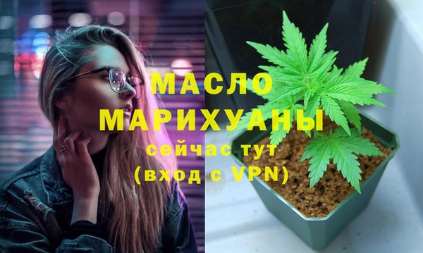 индика Белокуриха
