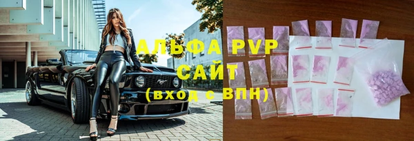 индика Белокуриха