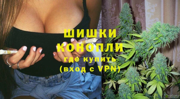индика Белокуриха