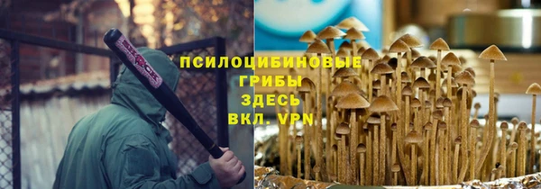 индика Белокуриха