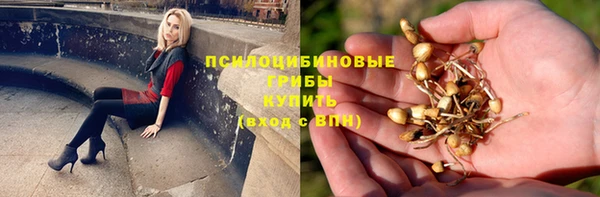 индика Белокуриха