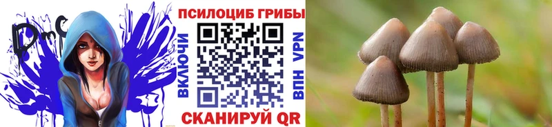 Галлюциногенные грибы GOLDEN TEACHER  как найти закладки  Верхняя Пышма 