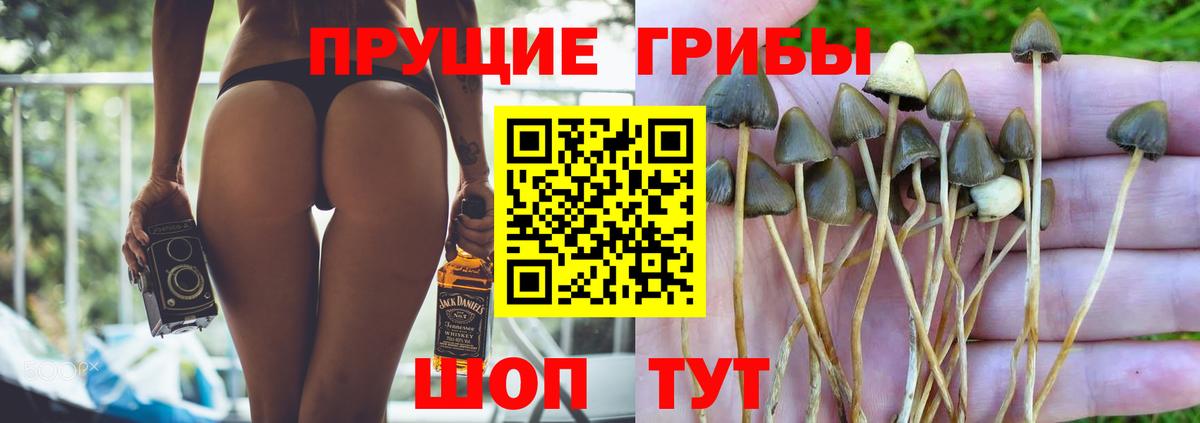 Галлюциногенные грибы ЛСД Верхняя Пышма